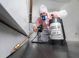 Best Fumigation Services  in Lighthouse Point, FL